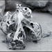 Slider__32