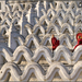 Slider_12