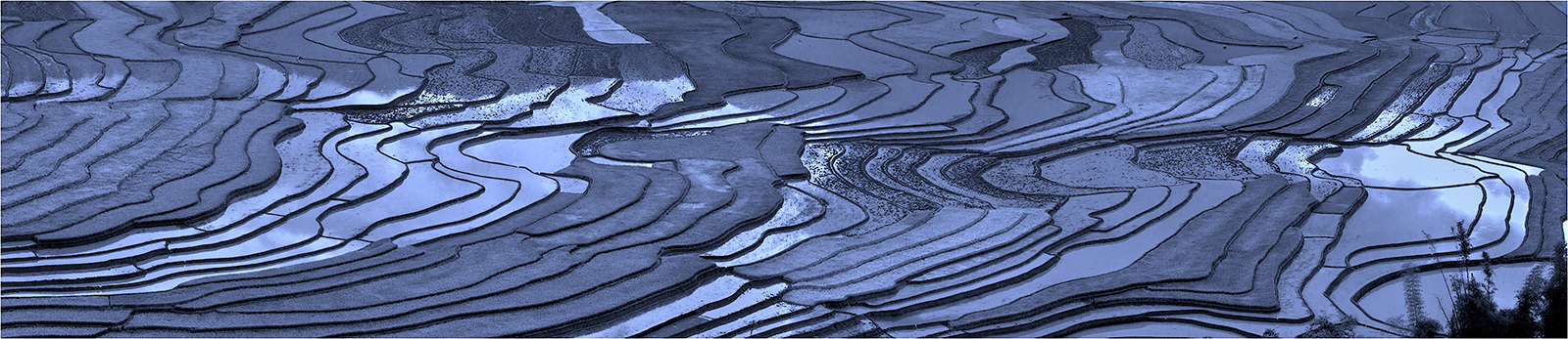 X1900__________1560_
