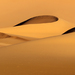 Slider_the_lines_of_desert_ii