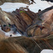 Slider_iceland_