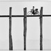 Slider_11a