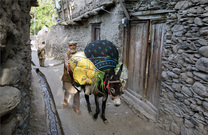 List__dsc1421