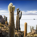Slider_6