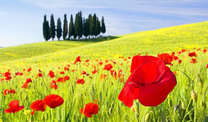 Map_tuscany2