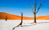 Map___________-____mg2_0990
