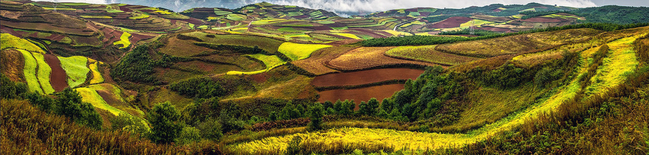 Show_kunming-city-_-dongchuan_-beautiful-garden-at-hongtudi