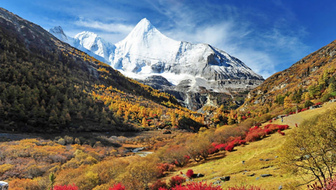 List_yading-rungkit-charoenwa-740x491