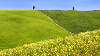 List_list_untitled_panorama8769dfs