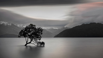 List__8